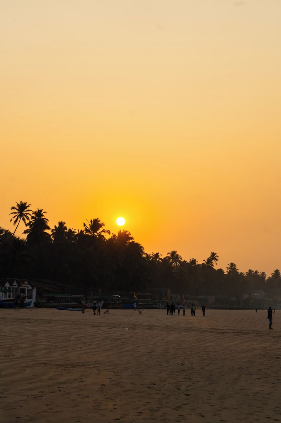 Une plage au coucher du soleil, avec des palmiers et des personnes visibles au loin.