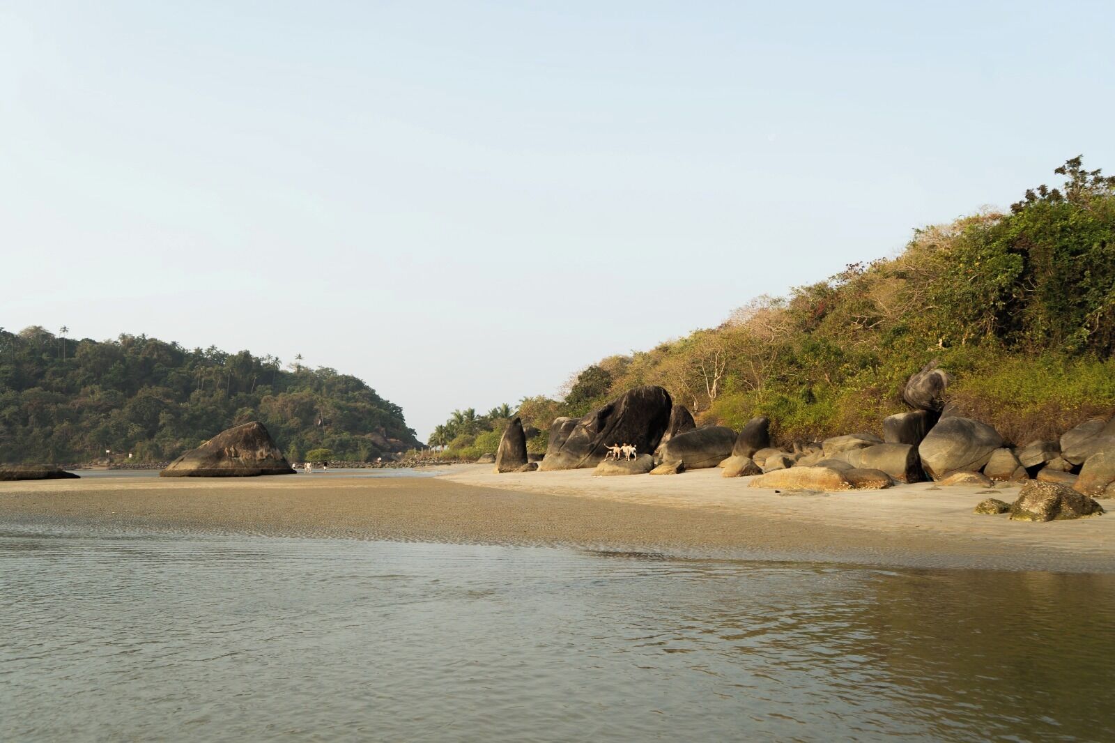 Vista desde la propiedad