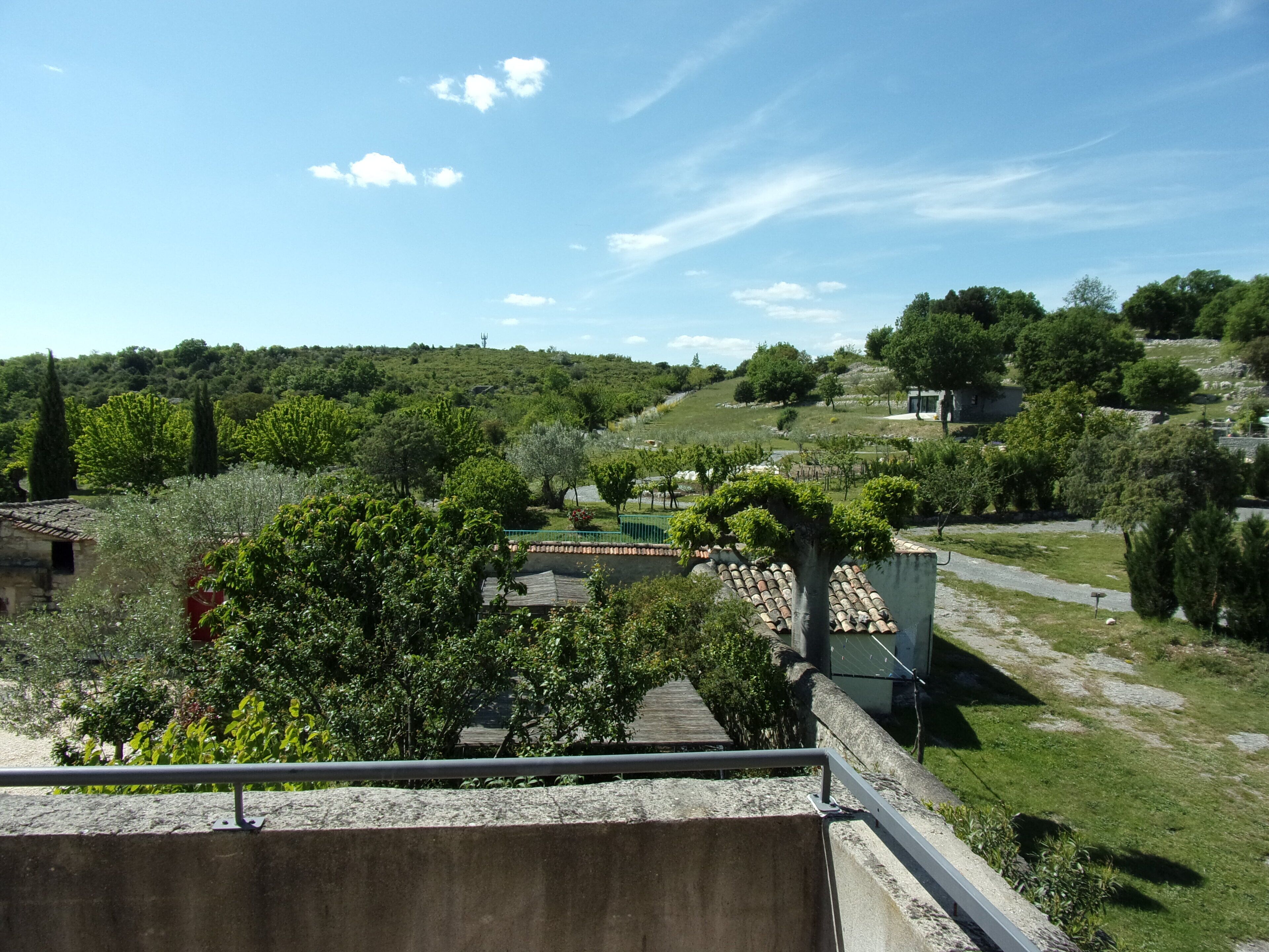 Una terraza con vistas a un viñedo y una colina con árboles.