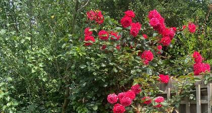 Wonderful 4 bedroom house in Oxfordshire