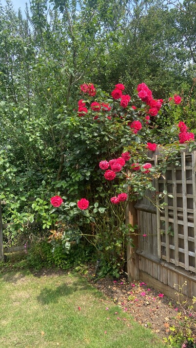 Wonderful 4 bedroom house in Oxfordshire