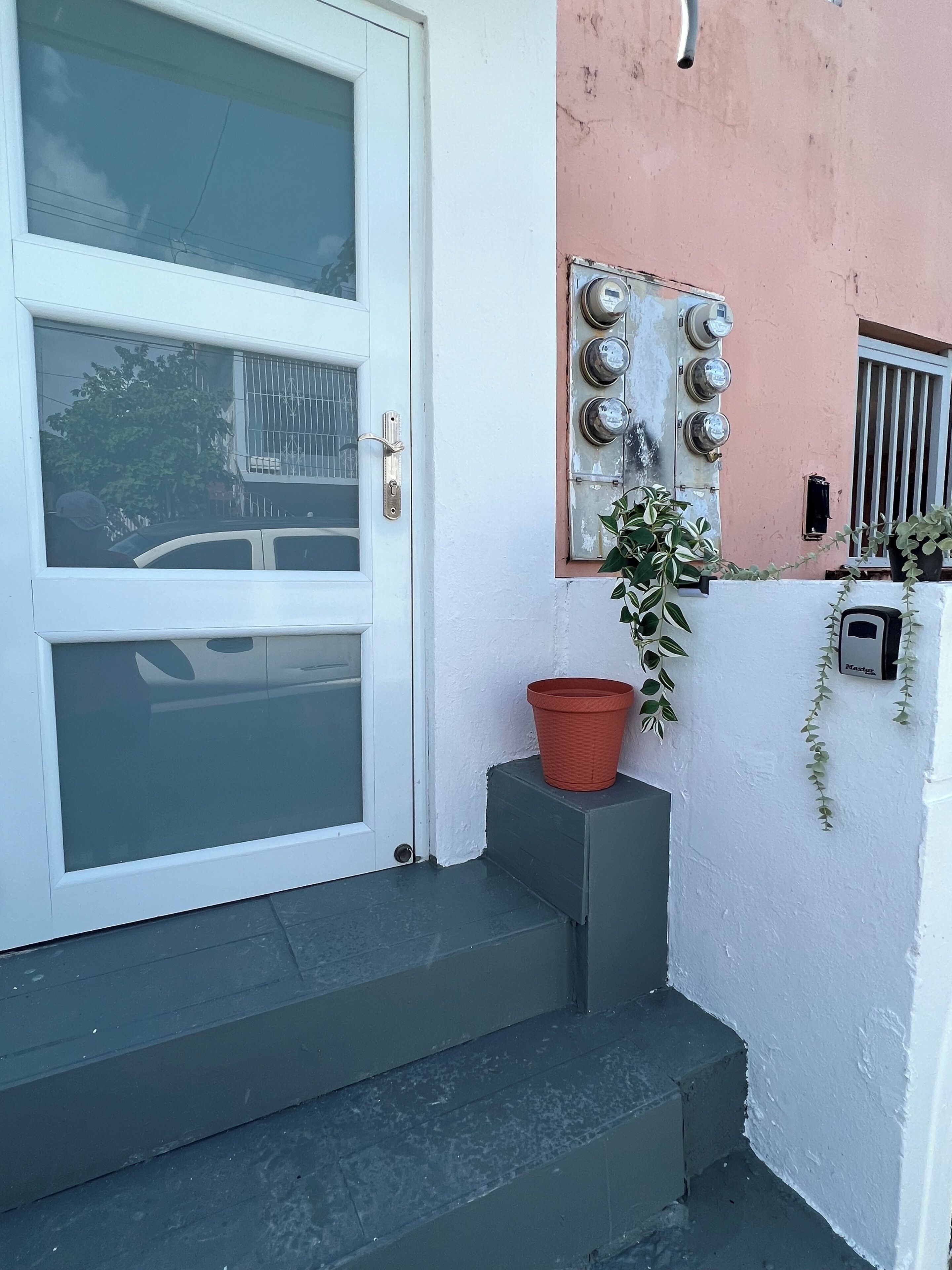 Een witte deur met een matglasraam, een metalen hekwerk en een kleine rode plantenbak met groene beplanting.