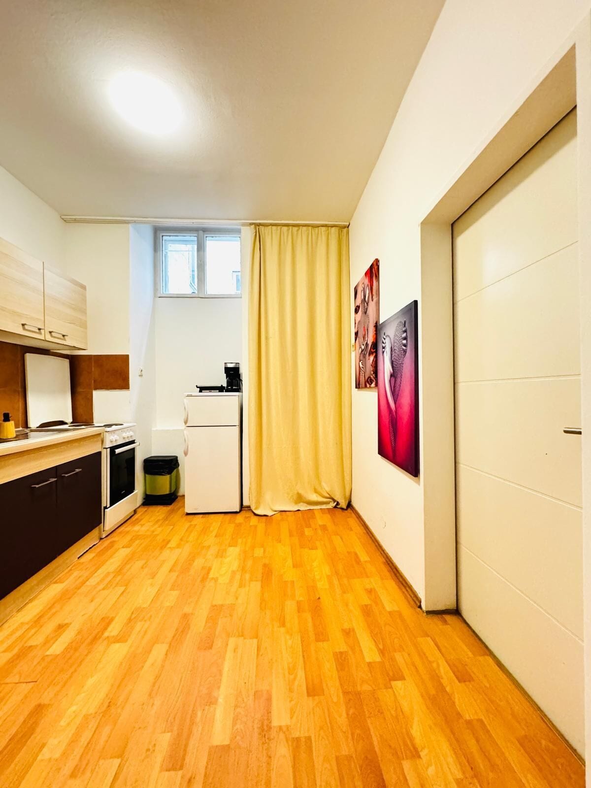 Basic Apartment | Private kitchen | Fridge, oven, stovetop, cookware/dishes/utensils