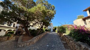 A narrow stone pathway flanked by stone walls and lush greenery, leading to a building with a tiled roof. - Charming two-room apartment of approximately 40 square meters with a 25 square meter covered veranda, located on the ground or first floor.It comprises a living room with a fully equipped kitchenette and a sofa bed, a bedroom with a double bed, and a bat (Porto Rotondo)