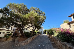 A narrow stone pathway flanked by stone walls and lush greenery, leading to a building with a tiled roof. - Charming two-room apartment of approximately 40 square meters with a 25 square meter covered veranda, located on the ground or first floor.It comprises a living room with a fully equipped kitchenette and a sofa bed, a bedroom with a double bed, and a bat (Porto Rotondo)