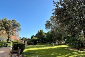 Un espace extérieur bien entretenu, doté d’un chemin pavé, de bancs en bois et d’une pelouse verdoyante, le tout entouré d’arbres et d’arbustes.