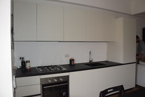 Oven, stovetop, dishwasher