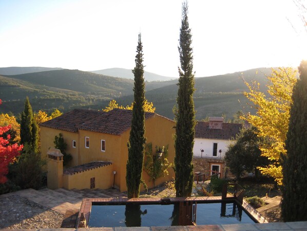 A courtyard with a pool, two tall cypress trees, and buildings with yellow and white facades.