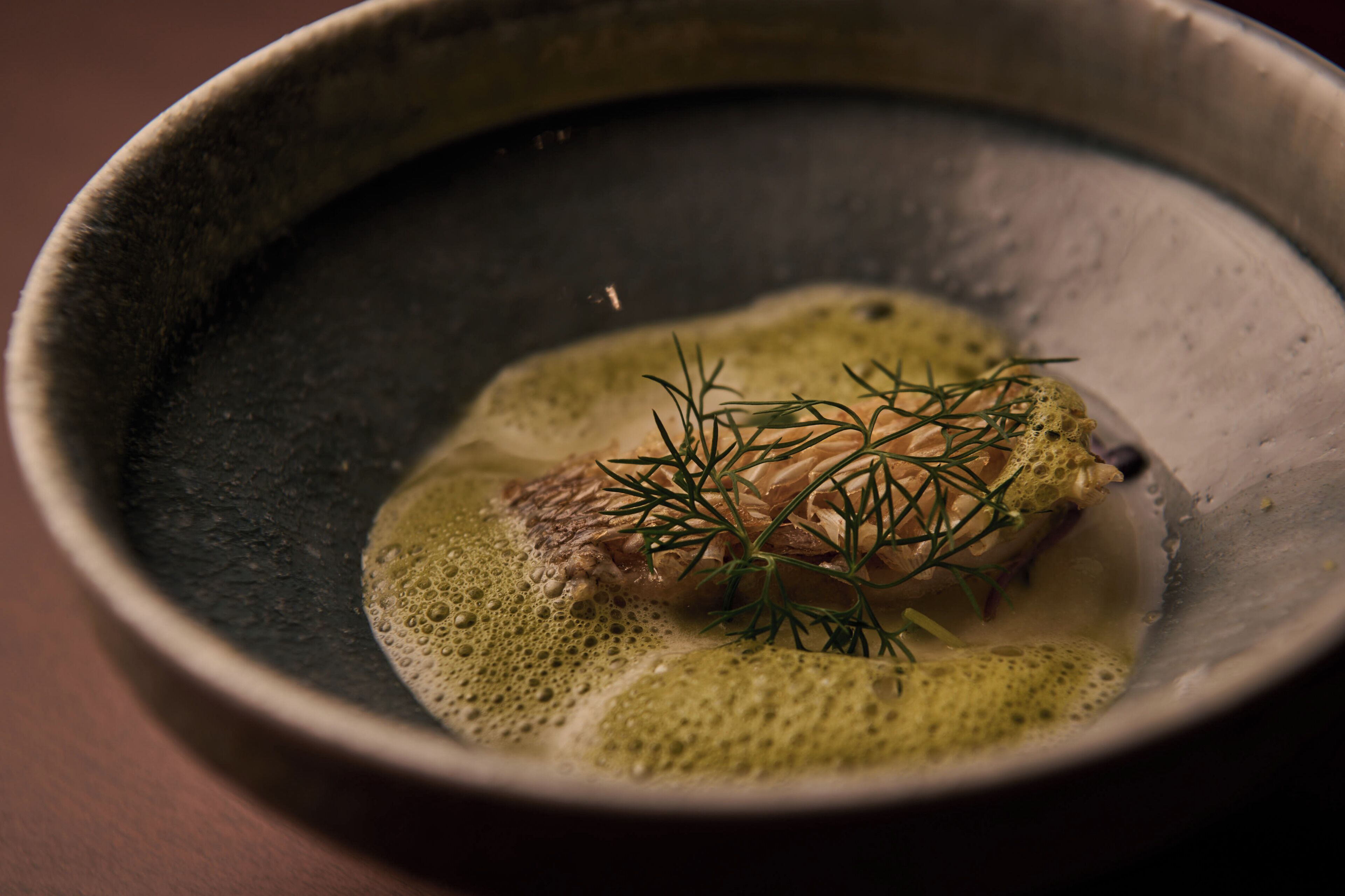 A bowl containing a piece of meat with a garnish of herbs.