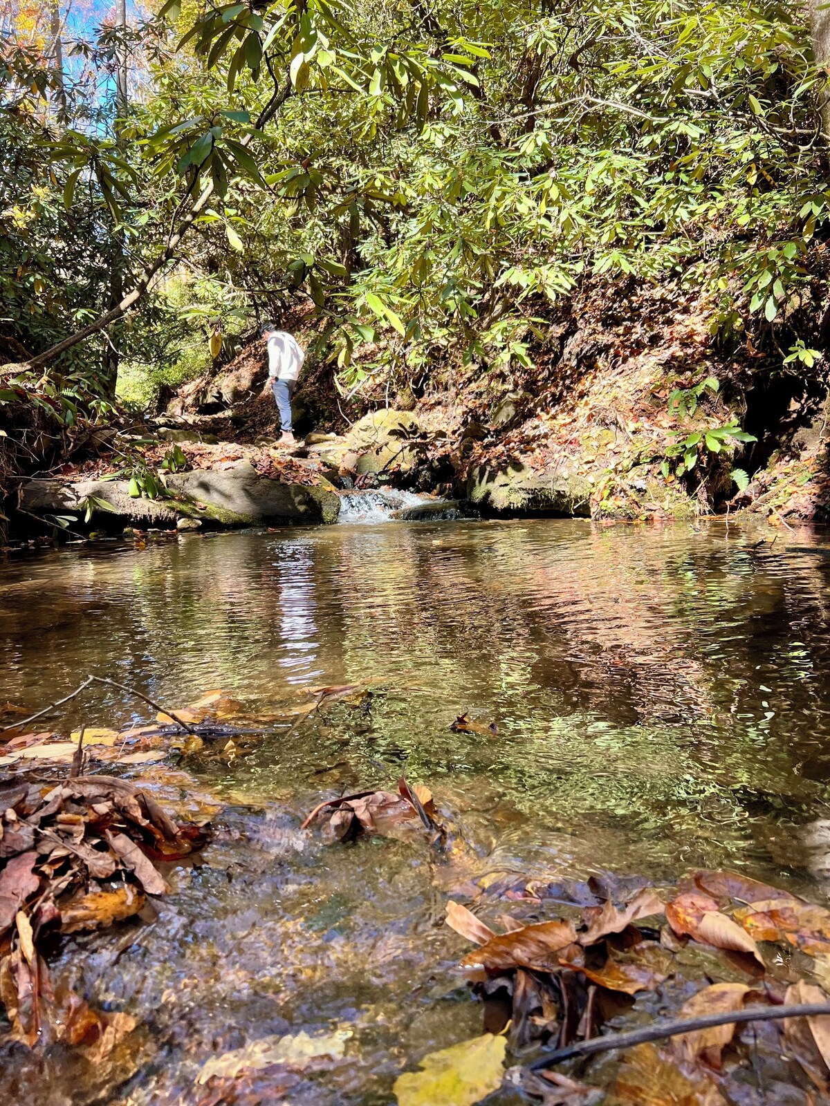 オーナーのプロフィール画像