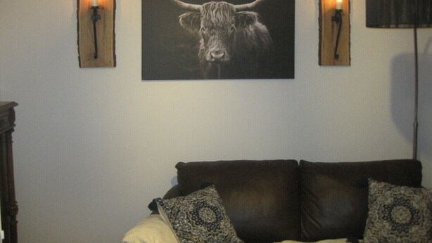 A room with a large framed picture of a bull, two wall-mounted lights, and a dark-colored sofa with patterned cushions.