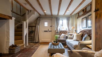 TV, fireplace, books