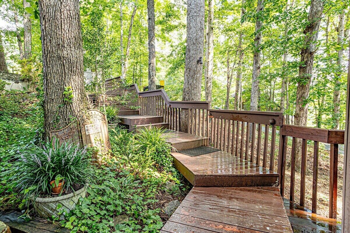 A wooden deck with steps leading through a forest, surrounded by trees and greenery.