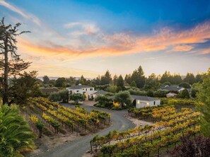 Property grounds - An Inviting Sonoma Valley Retreat with Vineyard Views (Sonoma)