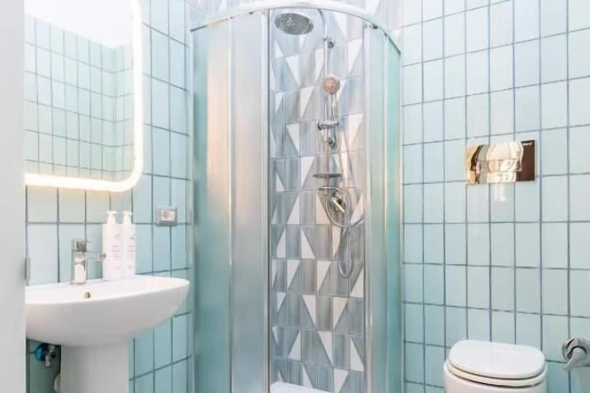 Ducha, secador de pelo, toallas, papel higiénico