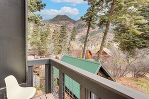 House (3 Bedrooms) | Interior - The Switzerland of America Downtown Ouray Cabin! (Ouray)