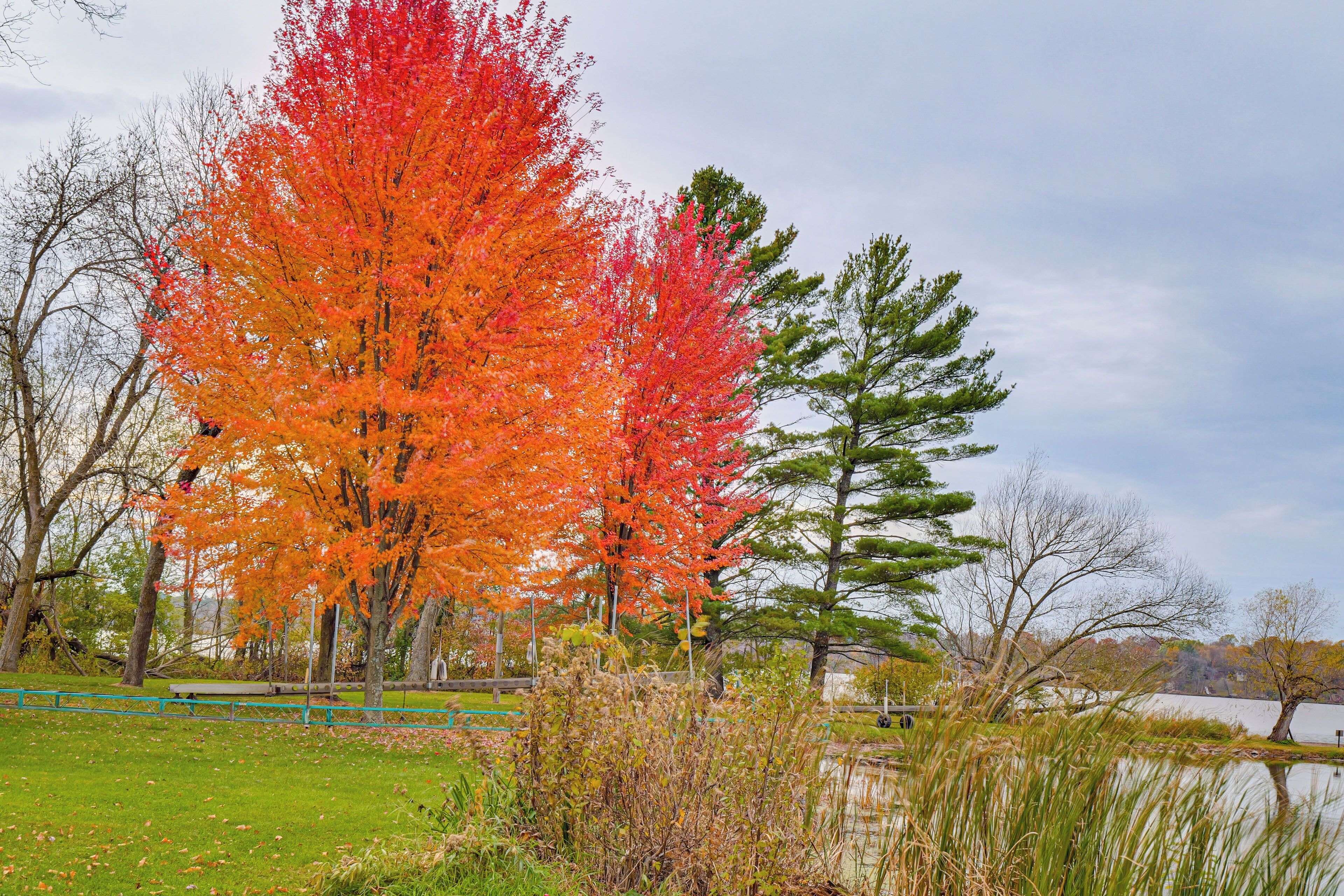 Un parc avec un lac, des arbres aux couleurs automnales et une pelouse.