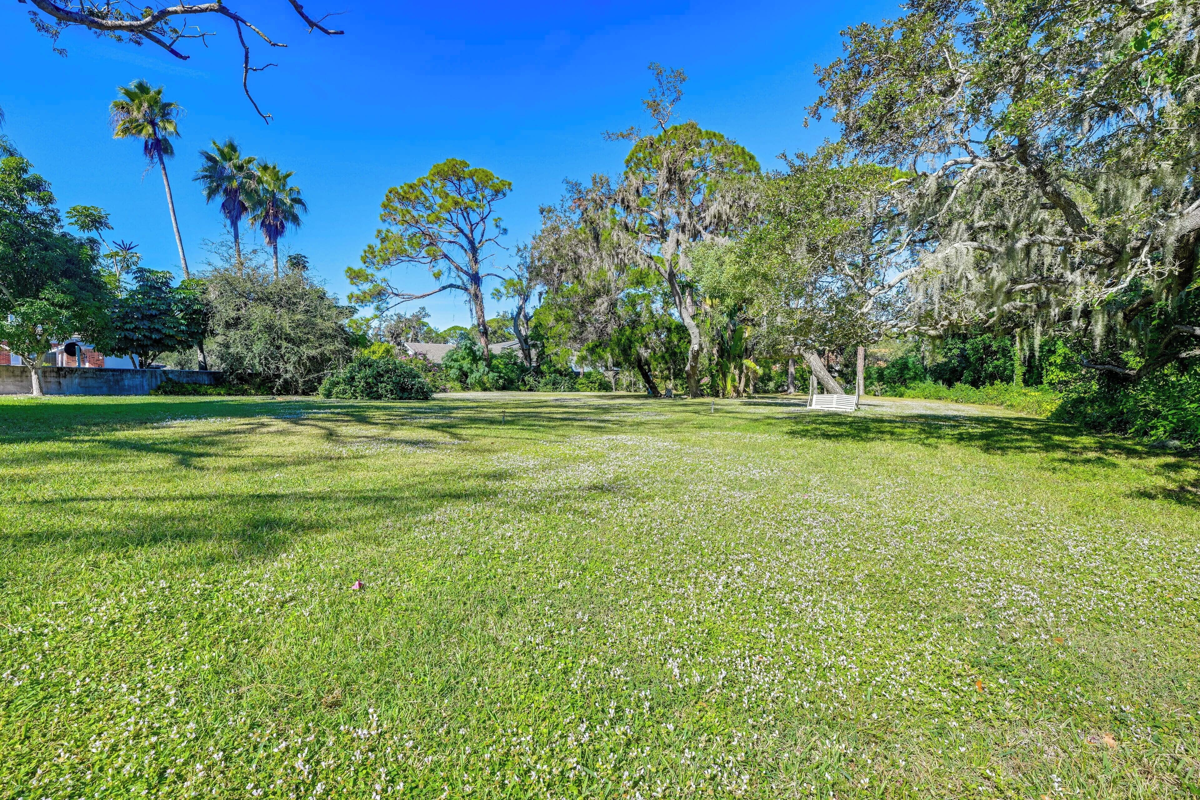 A grassy park area with trees and a clear blue sky.