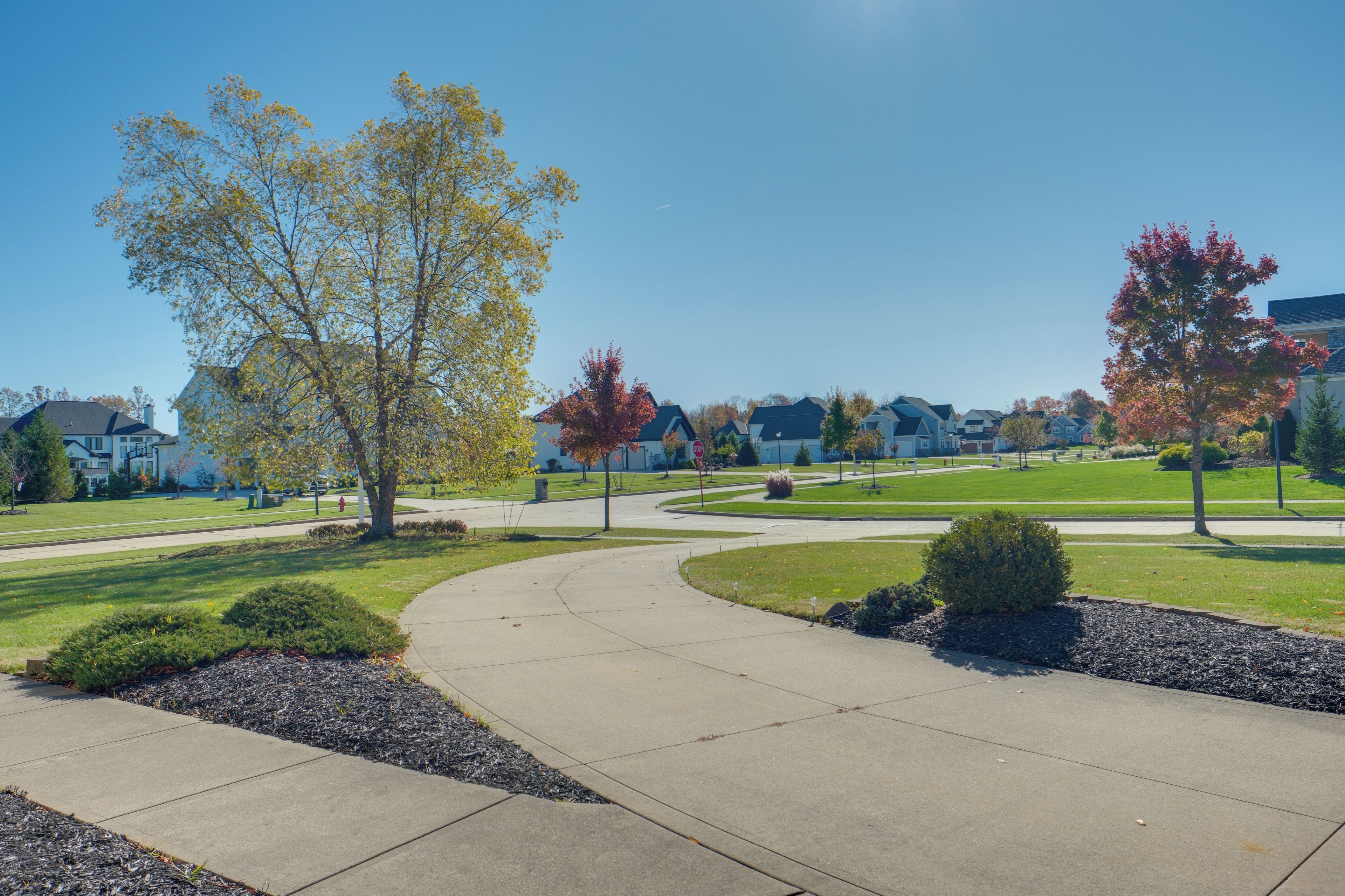 المنشأة من الداخل