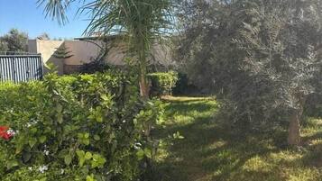 Área da propriedade