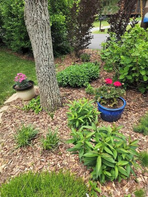 Property grounds - Cottage 5 min to Biltmore Estate or 10 to Downtown (Asheville)