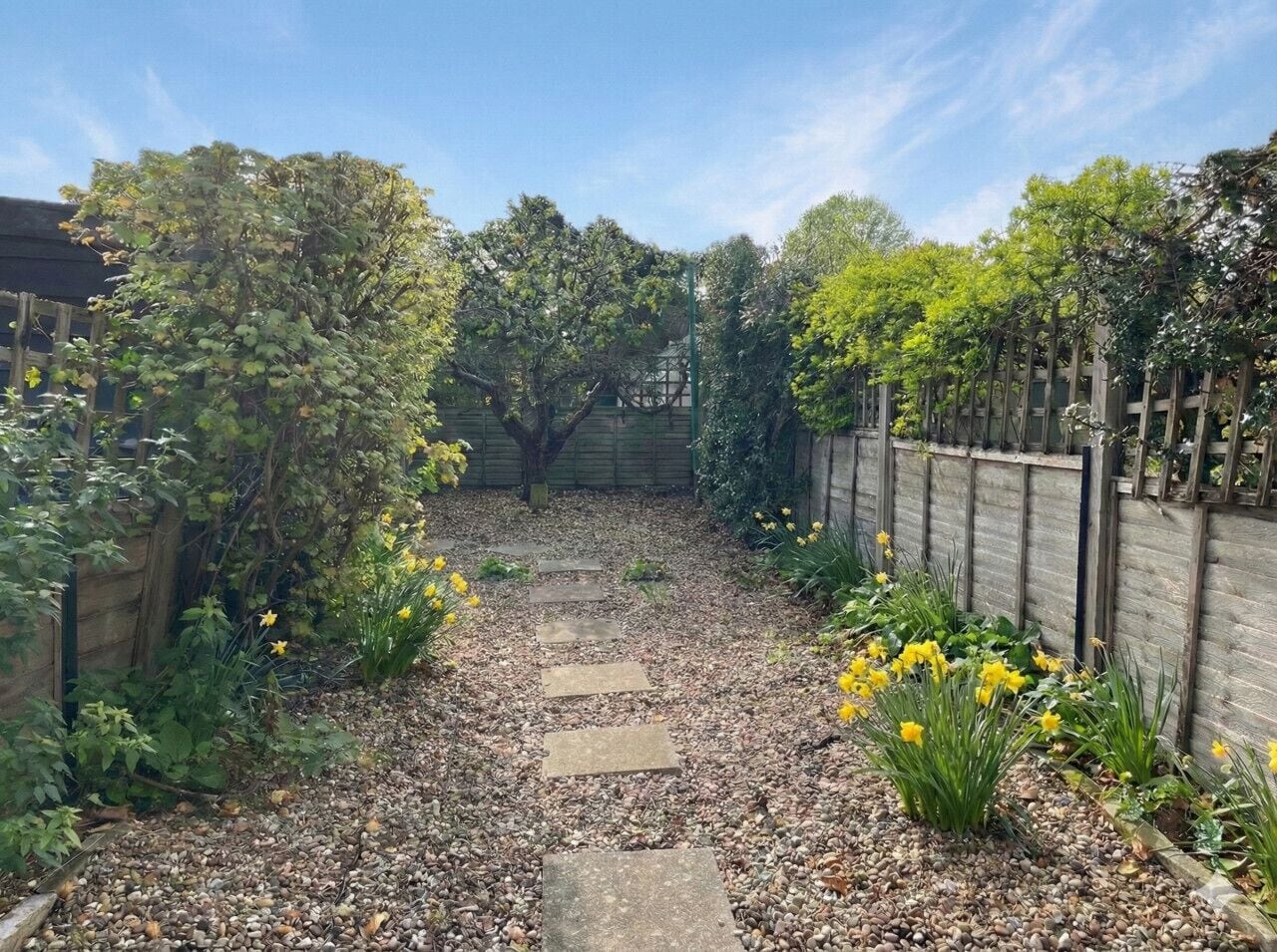 A garden pathway with stepping stones leading to a wooden fence.