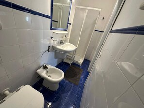 Regadera, secadora de cabello, bidet, toallas 