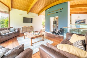 TV, fireplace, ping pong