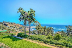 Photo non classée, 2 sur 26, bouton