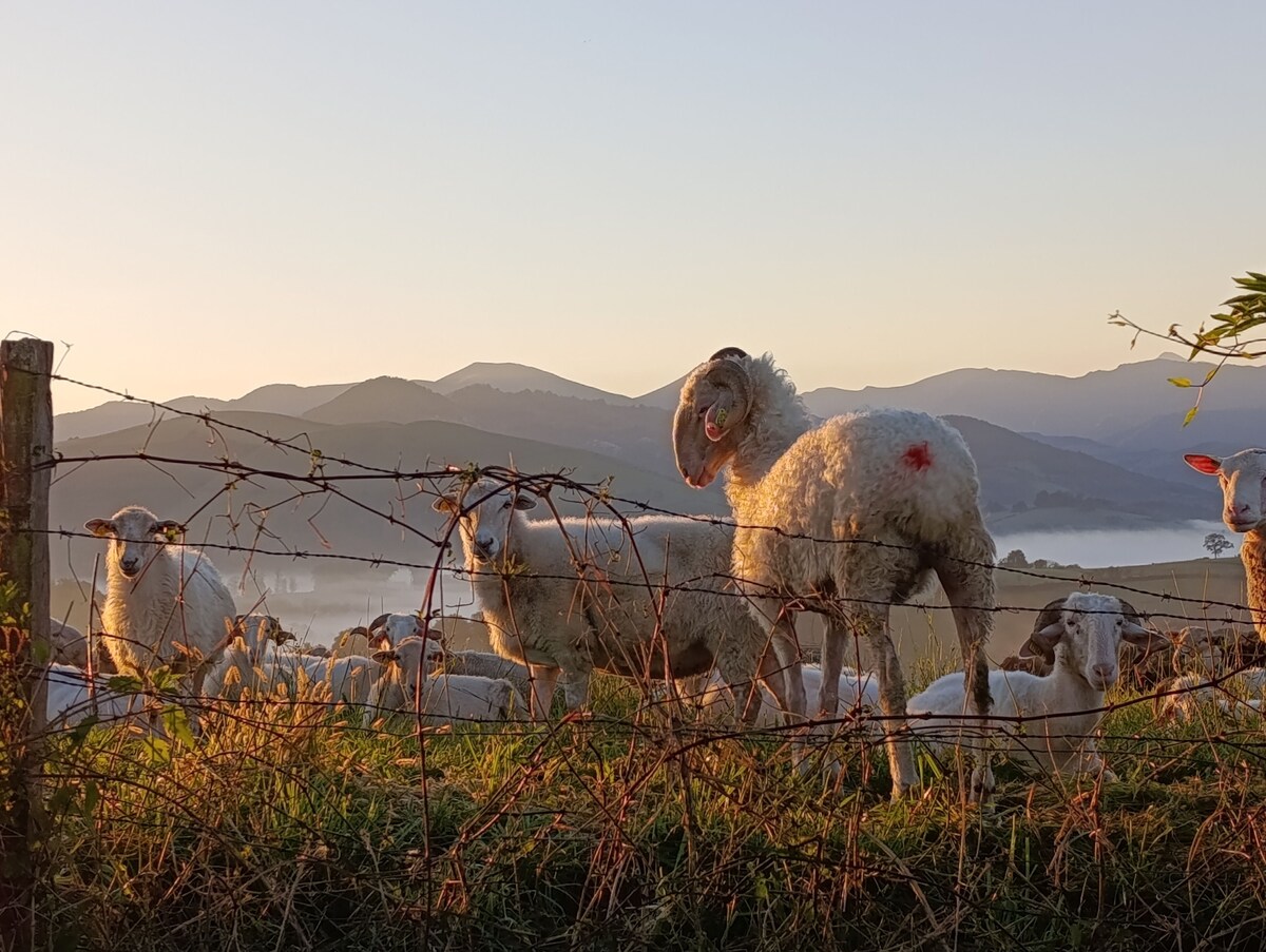 Bild für Gastgeberprofil