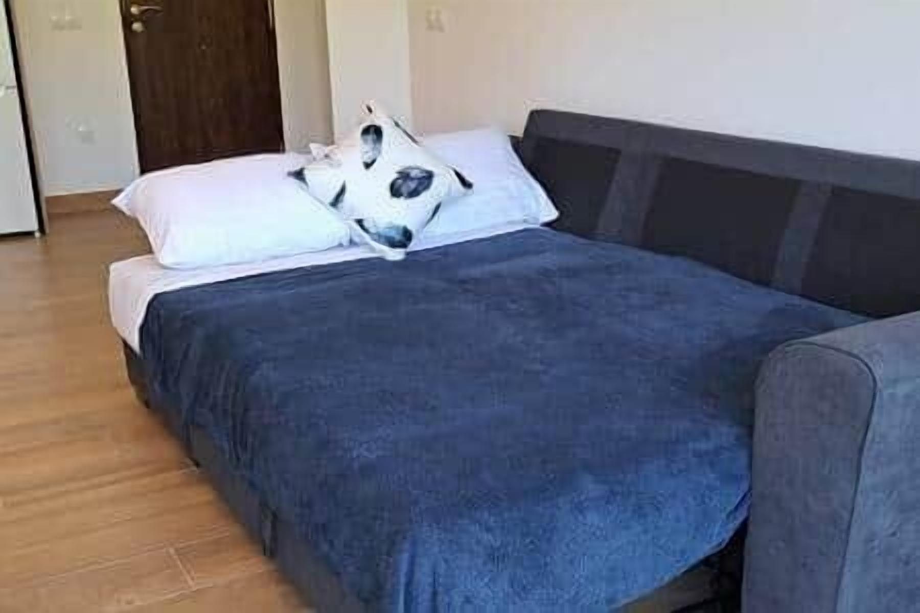 A bed with a dark blue bedspread and white pillows, a wooden floor, and a dark-colored headboard.