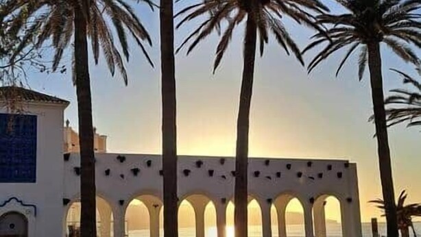 Un edificio con una serie de arcos y palmeras al frente.