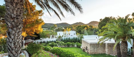 Terrein van de accommodatie