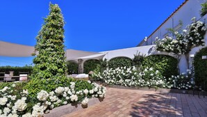 Ein Innenhof mit gefliestem Boden, weißen blühenden Pflanzen und einem hohen, grünen Baum.