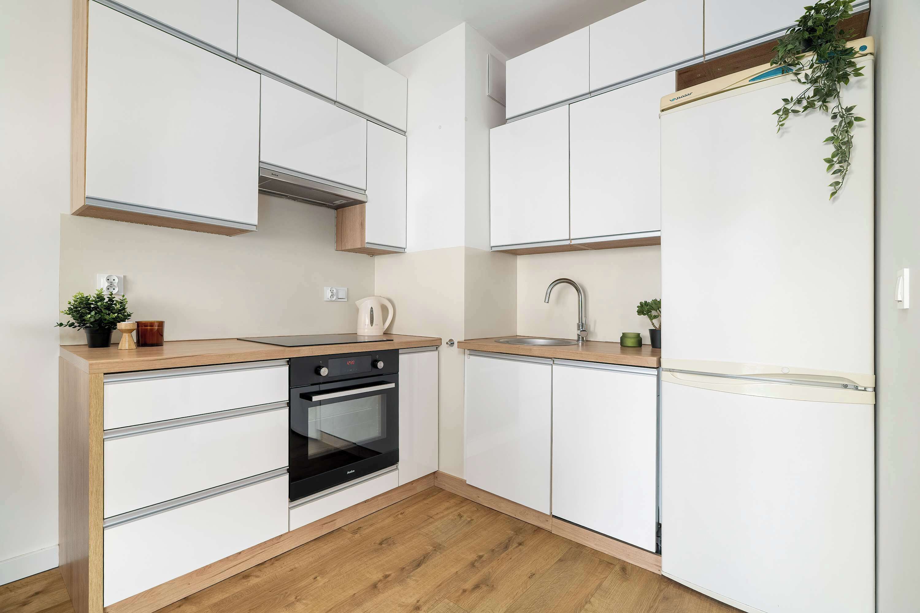 Fridge, oven, stovetop, dishwasher