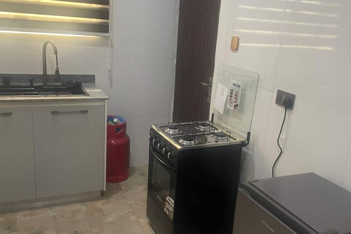 Apartment, City View | Private kitchen | Mini-fridge, microwave, oven, cookware/dishes/utensils