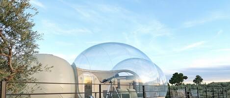 Ropa de cama de alta calidad, cubrecamas, minibar y wifi gratis