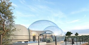 Habitación panorámica | Ropa de cama de alta calidad, edredón, minibar y wifi gratis 