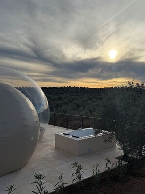 Habitación panorámica | Terraza o patio