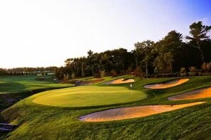 Golf - The Birdie Lodge-Private-Game Room-Dogs Welcome! (Arkdale)