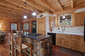 Fridge, microwave, oven, stovetop - The Birdie Lodge-Private-Game Room-Dogs Welcome! (Arkdale)