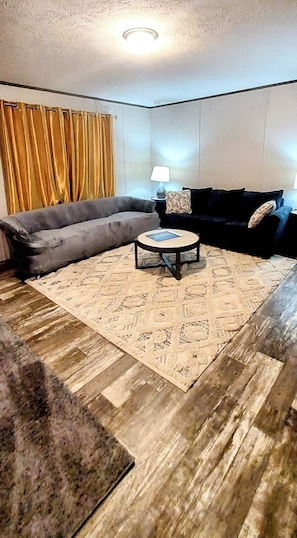 Televisor intel·ligent, llar de foc i llibres