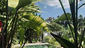 Une piscine aux eaux cristallines, entourée d’une végétation tropicale luxuriante, avec un bâtiment visible au loin.