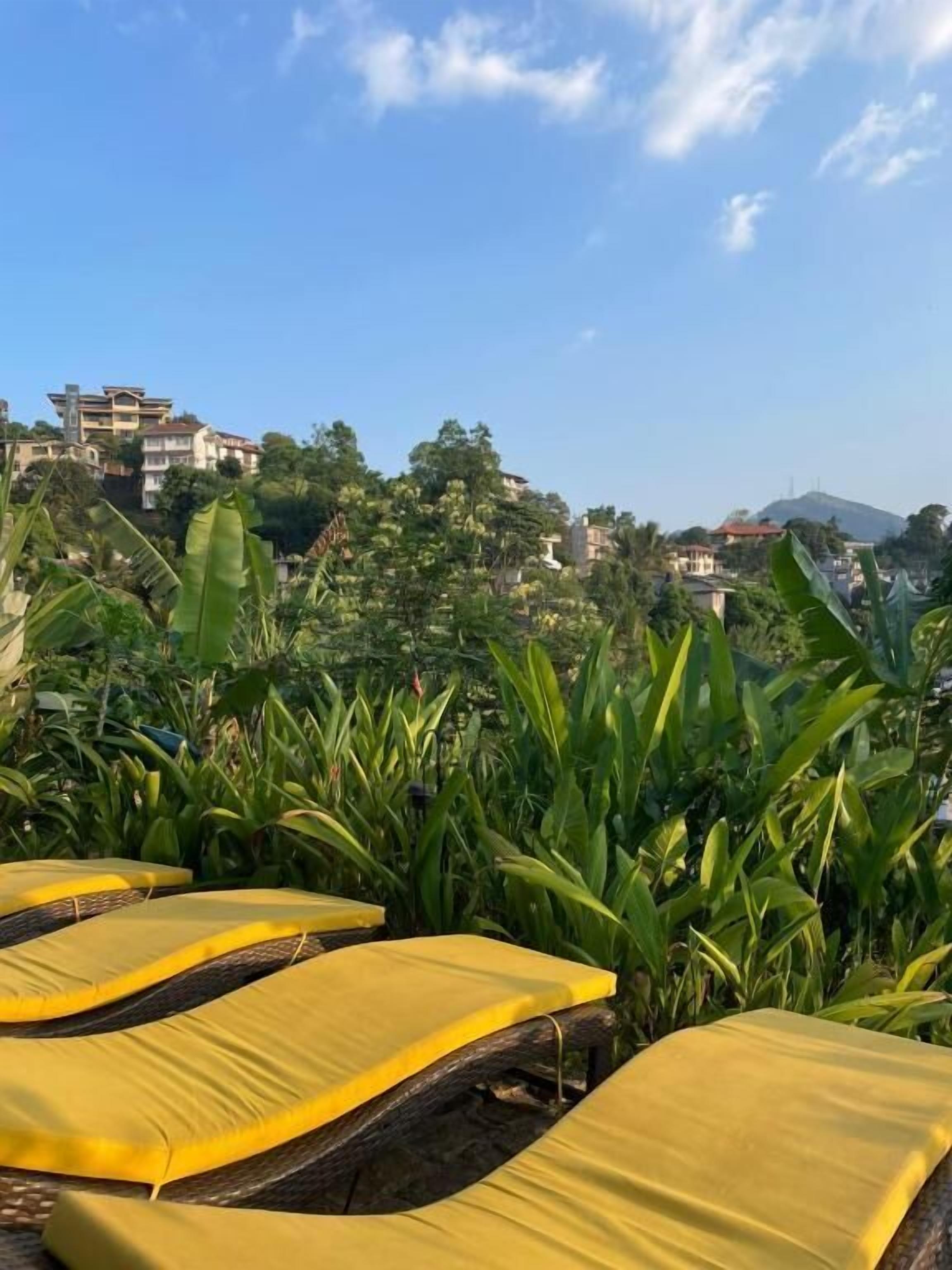Sedie a sdraio gialle all'aperto con vista su una zona residenziale e una montagna sullo sfondo.