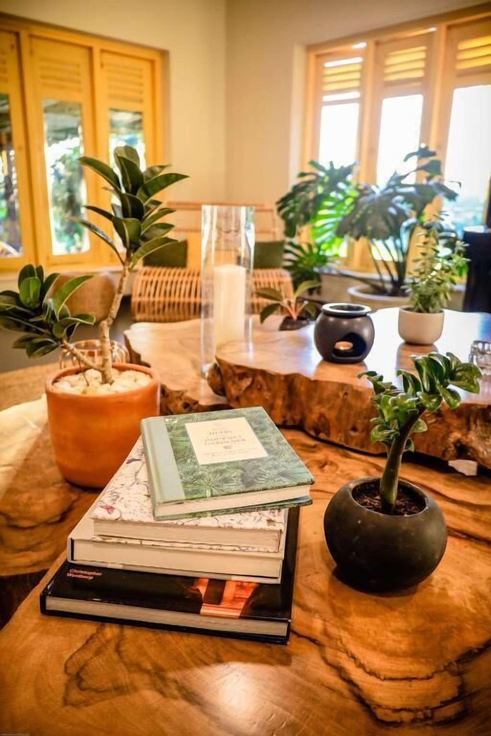 Ein Holztisch mit Büchern, einer kleinen Topfpflanze und einer Kerze.