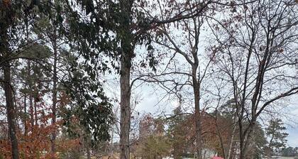 Rustic Lakefront Retreat