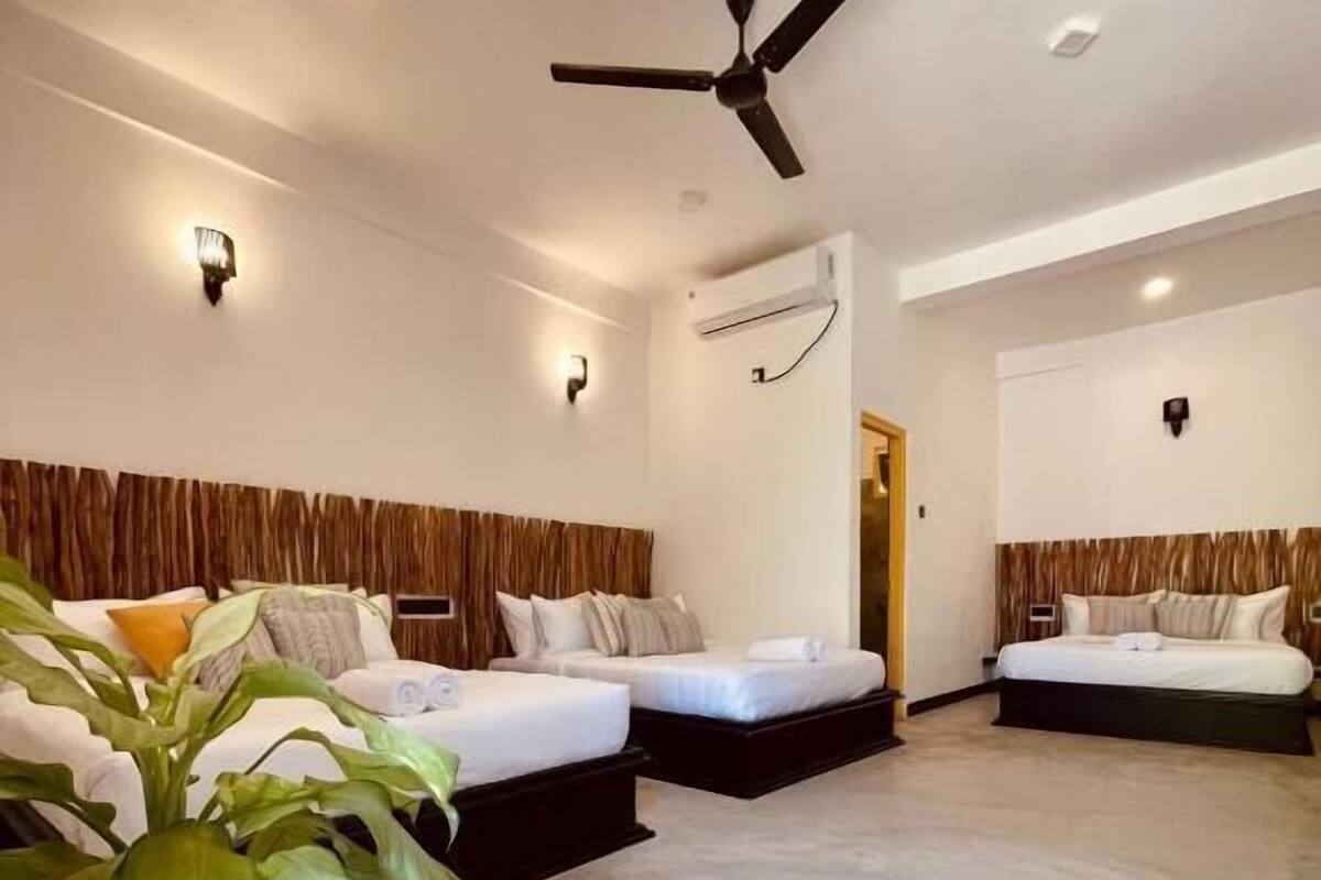 A modern hotel room with two beds, a ceiling fan, and a large potted plant.