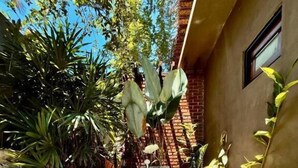 A garden with a large planter, various plants, and a stone pathway. - Banana Bunks Mirissa (Mirissa)