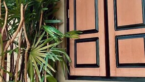 A door with a geometric pattern and a plant beside it. - Banana Bunks Mirissa (Mirissa)