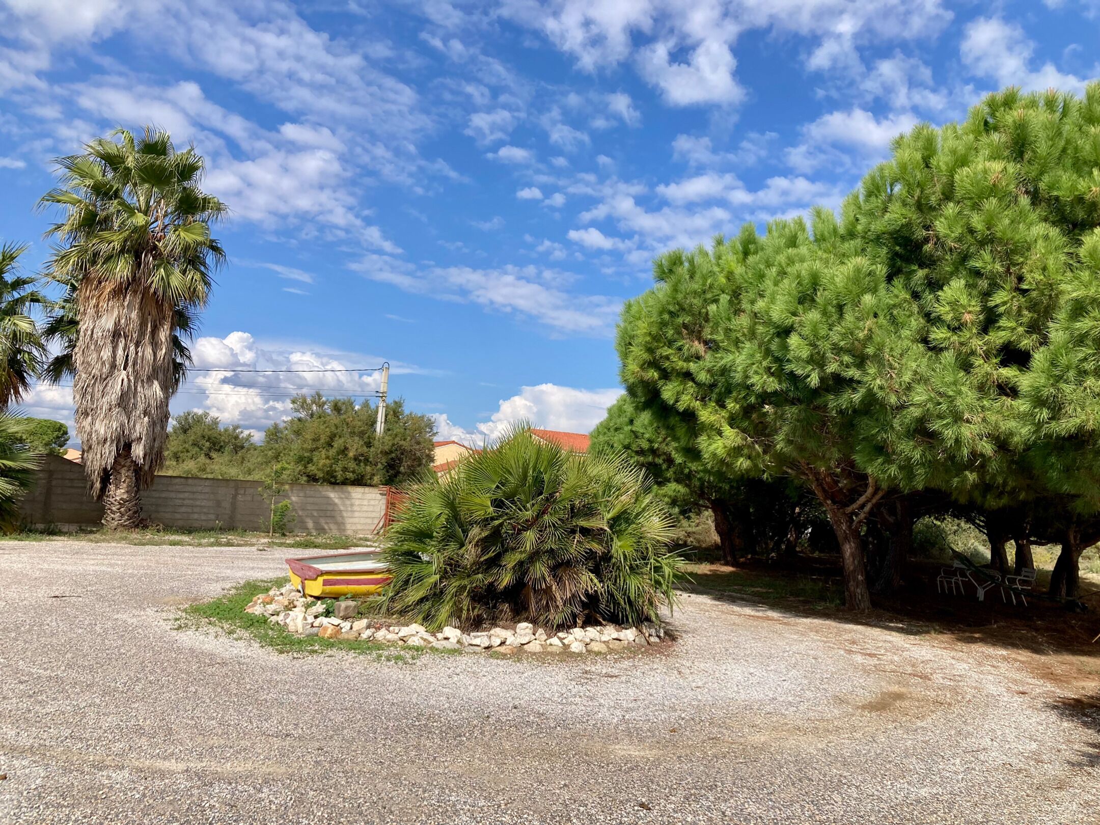 A gravel parking area with a palm tree, a pine tree, and a small garden bed with rocks.